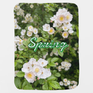 Black and White Butterfly on Green Custom Name Baby Blanket