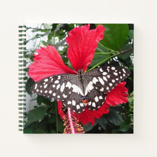 Black and White Butterfly on Hibiscus Notebook