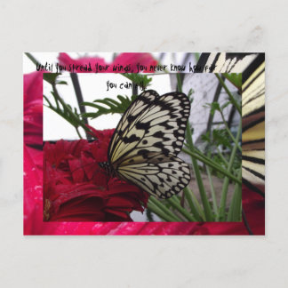 Black and white butterfly postcard