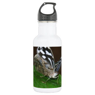 Black and White Butterfly Stainless Steel Water Bottle