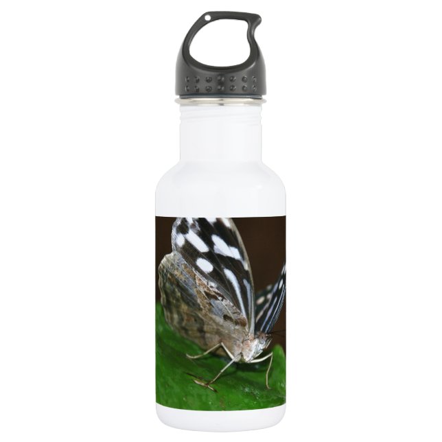 Black and White Butterfly Stainless Steel Water Bottle (Front)