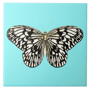 Black and white butterfly, turquoise background ceramic tile