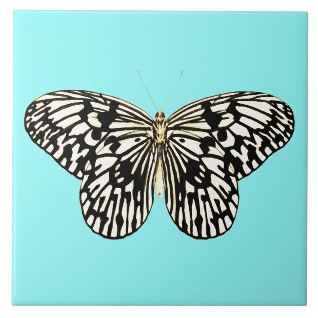 Black and white butterfly, turquoise background ceramic tile (Front)