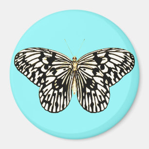 Black and white butterfly, turquoise background magnet