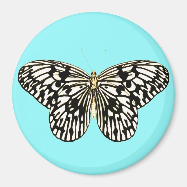 Black and white butterfly, turquoise background magnet (Front)