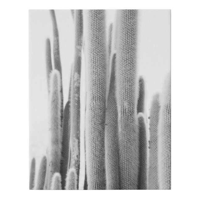 Black and white Cactus photo art print (Front)