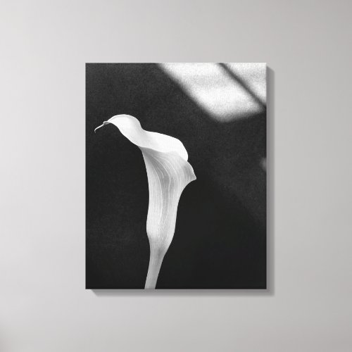 Black and White Calla Lily Canvas Print