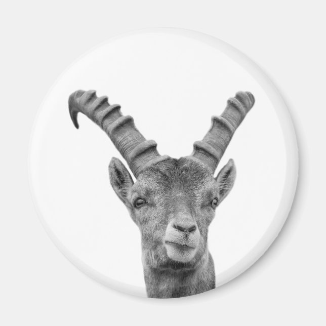 Black and white capricorn animal photo magnet (Front)