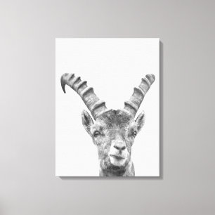 Black and white capricorn animal portrait canvas print