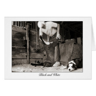 black and white cards