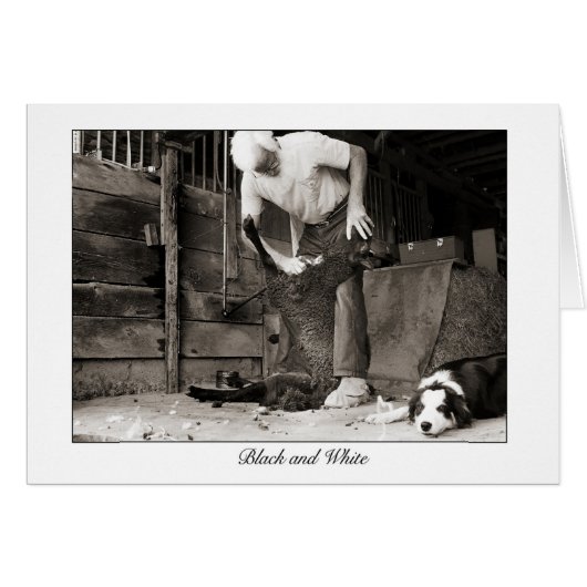 black and white cards (Front Horizontal)