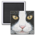 Black and White Cat #1 Magnet