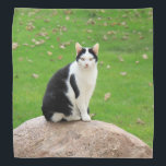 Black And White Cat Bandana<br><div class="desc">A black and white cat sitting on a rock decorates this lovely bandana</div>