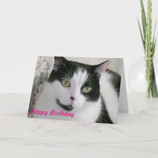 Black and White Cat Birthday Card (Front)