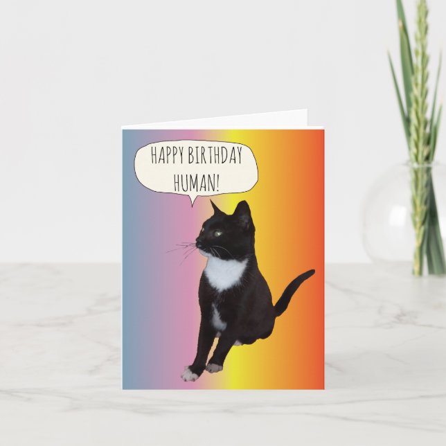 Black and white cat birthday card personalise (Front)