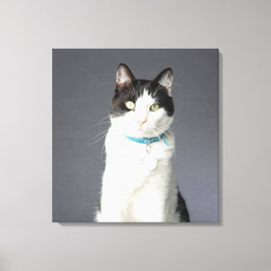 Black and white cat canvas print