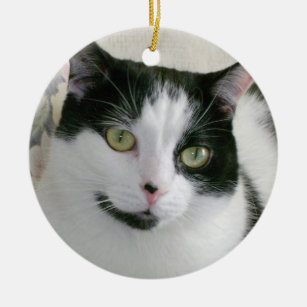 Black And White Cat Christmas Ornaments | Zazzle - 100% Satisfaction ...