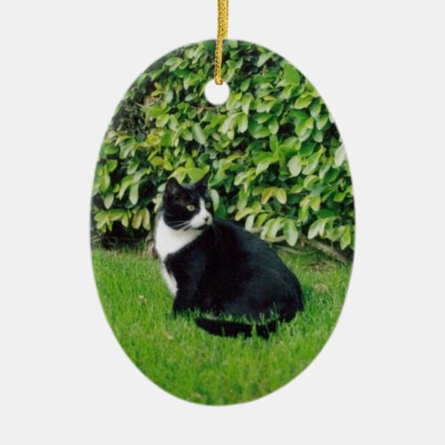 Black and White Cat Ceramic Ornament (Front)