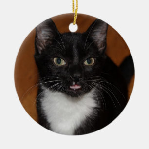 BLACK AND WHITE CAT CERAMIC ORNAMENT