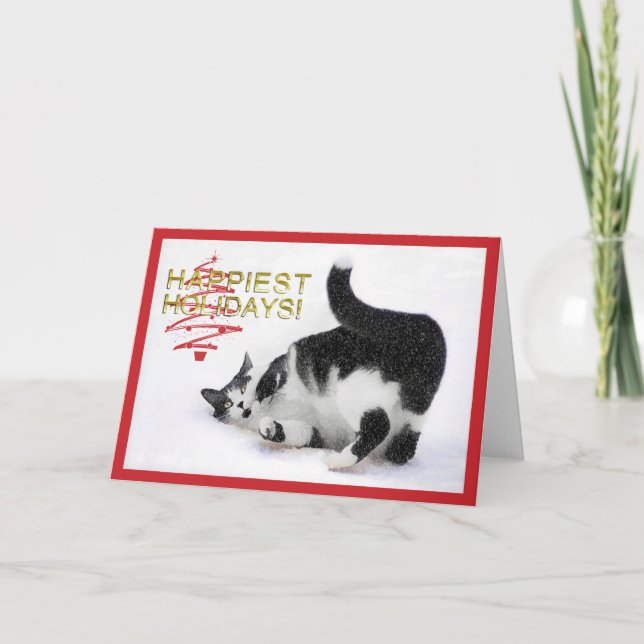 Black and White Cat Christmas Card (Front)