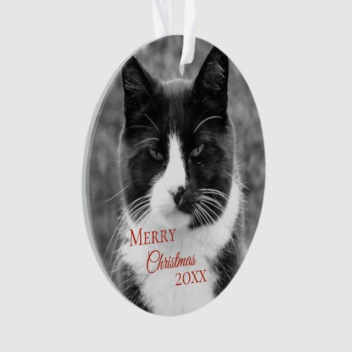 Black and White Cat Christmas Ornament | Zazzle