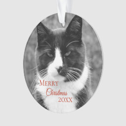 Black and White Cat Christmas Ornament | Zazzle