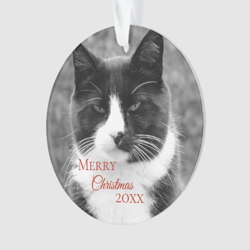 Black and White Cat Christmas Ornament | Zazzle