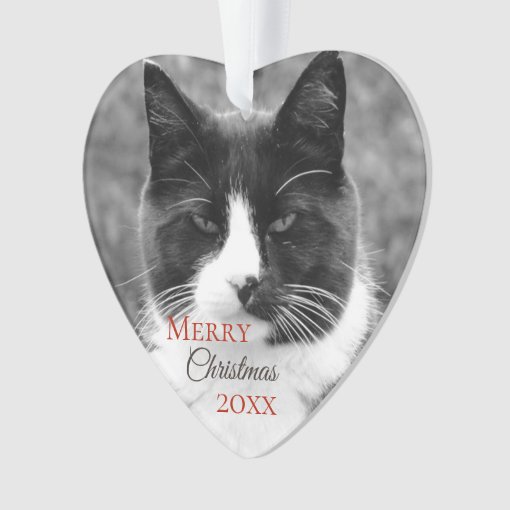 Black and White Cat Christmas Ornament | Zazzle