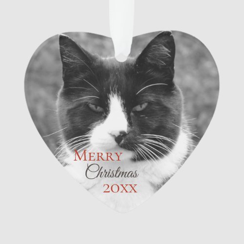 Black and White Cat Christmas Ornament