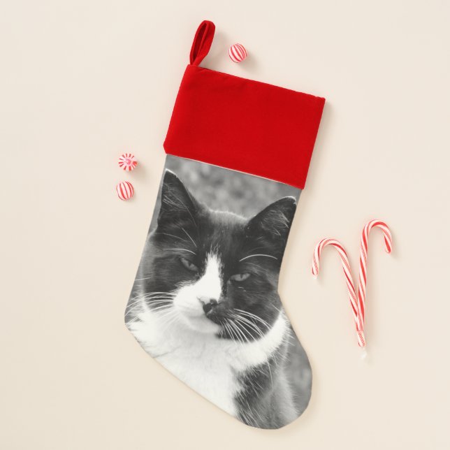 Black and White Cat Christmas Stocking (Front)