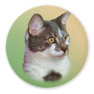 Black and White Cat, Customizable Ceramic Knob