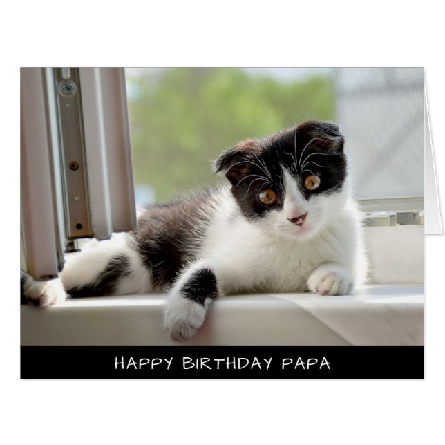 Black and white cat Extra Large Birthday Card (Front Horizontal)