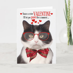 Black and White Cat Feline Humor Valentine's Day Holiday Card