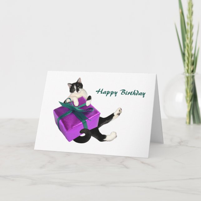 Black and White Cat Gift Birthday Card (Front)