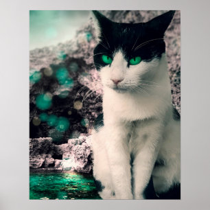 Black And White Cat Green Eyes Sitting By See Poster
