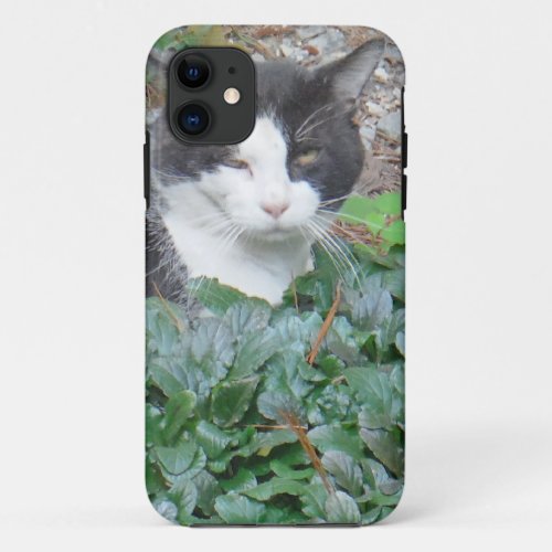 Black and white cat in greenery iPhone 11 case