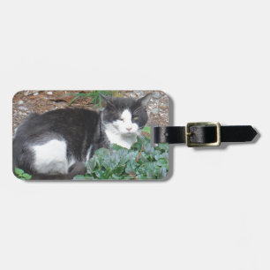 Black and white cat in greenery luggage tag