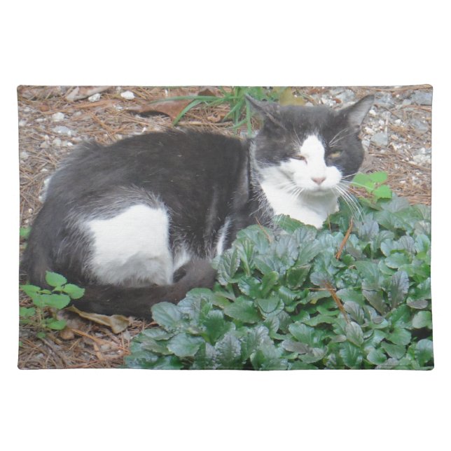 Black and white cat in greenery placemat (Front)