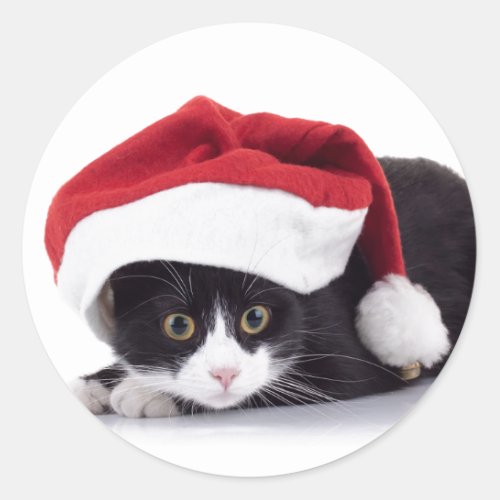 BLACK AND WHITE CAT IN Santa hat Sticker