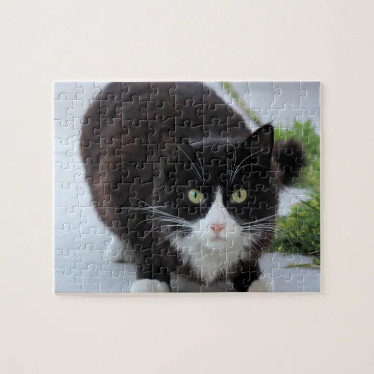 Black and white cat jigsaw puzzle | Zazzle