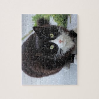 Black and white cat jigsaw puzzle | Zazzle