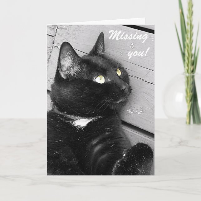Black and White Cat "Missing you" card (Front)