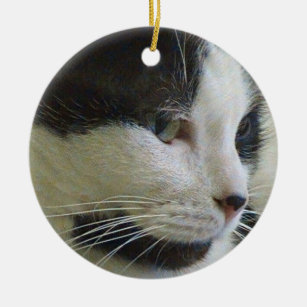 Black And White Cat Christmas Ornaments | Zazzle - 100% Satisfaction ...