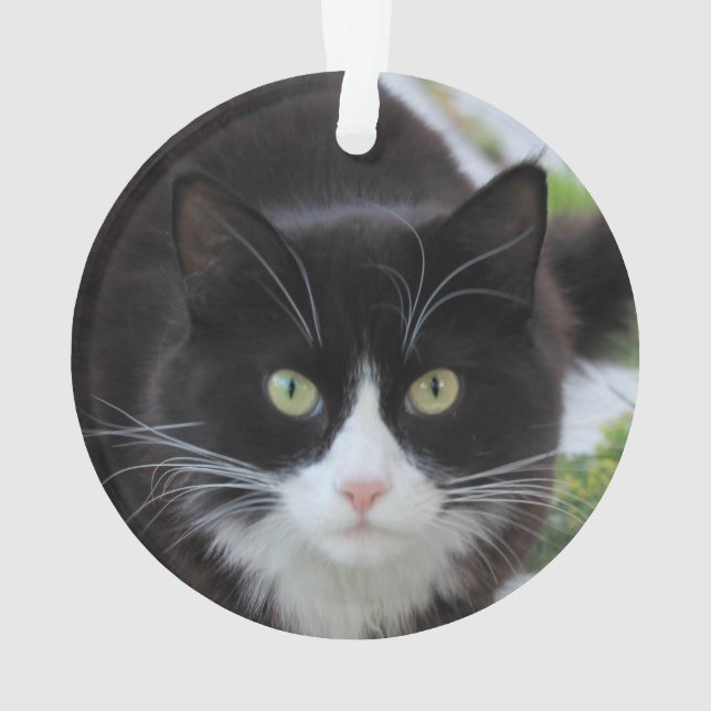 Black and white cat ornament (Back)