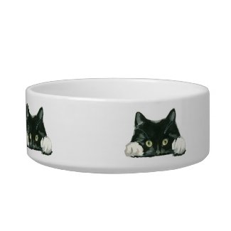 black and white cat pet food bowl dish