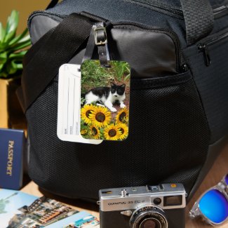 Black and White Cat Photo with Sunflowers