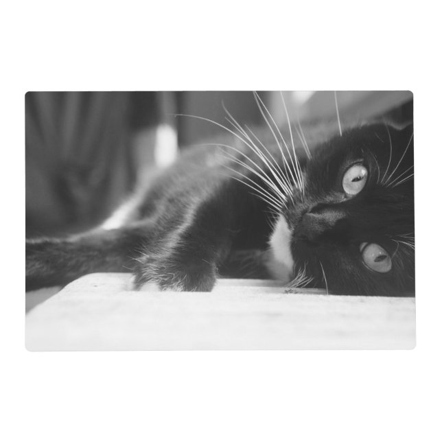Black and White Cat Placemat (Front)
