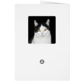 Black and White Cat Portrait (Back)