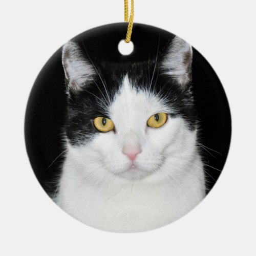 Black and White Cat Portrait Ceramic Ornament