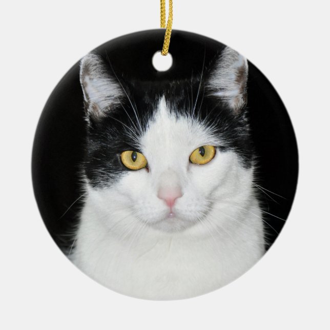 Black and White Cat Portrait Ceramic Ornament (Front)